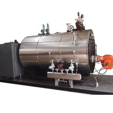 上海b级资质华征公司天神牌蒸汽产量6吨柴油重油蒸汽锅炉